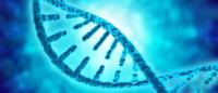 Image of DNA gene